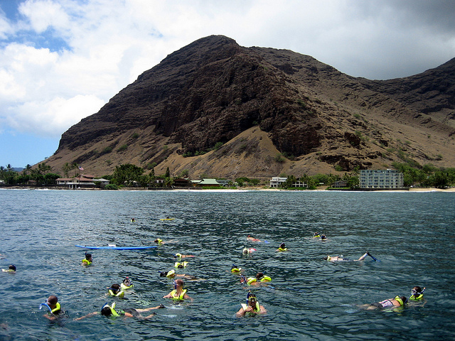 photo hawaii snorkel ecotourism fish