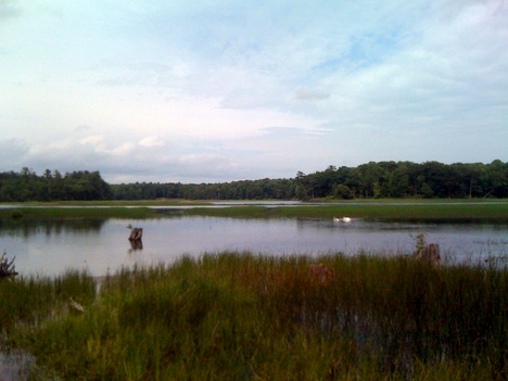 photo iargo lumbermans lookout michigan