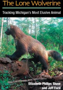 'The Lone Wolverine' is published by University of Michigan Press photo lone wolverine book shaw ford michigan