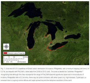 phragmites map great lakes red