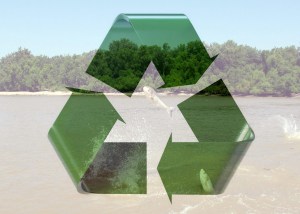 asian-carp-recycle-logo