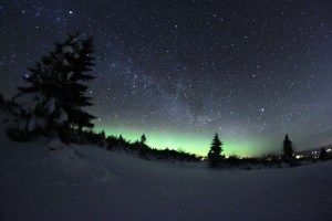 Credit: Timothy Boocock