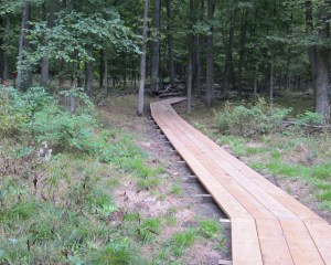 forestview little forks dedication