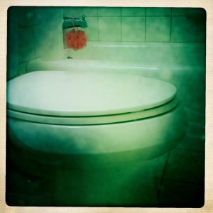 commode toilet septic