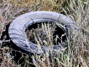 scrap tire mosquitoes