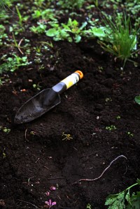 garden shovel