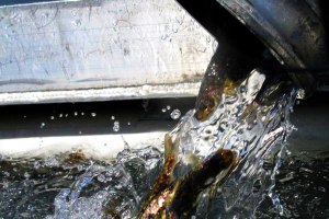 Lake trout stocking in the Great Lakes. Credit: USFWS