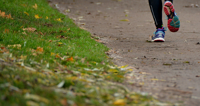 10538489333_d758b18ae0_z