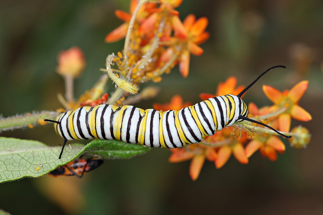 6097445598_a8158d21af_z