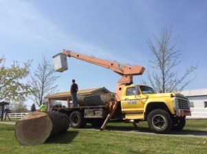 discovery-preserve-playground-sblc