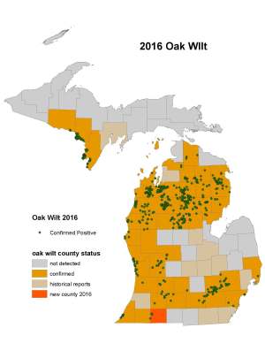 oak-wilt-michigan-2016
