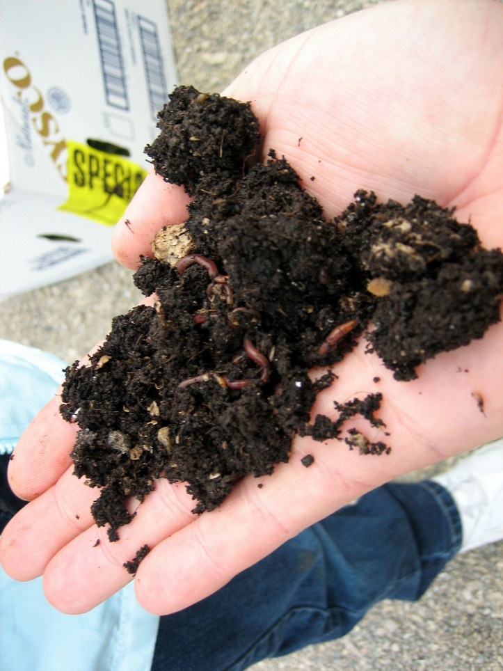 3466427965_b392865670_b