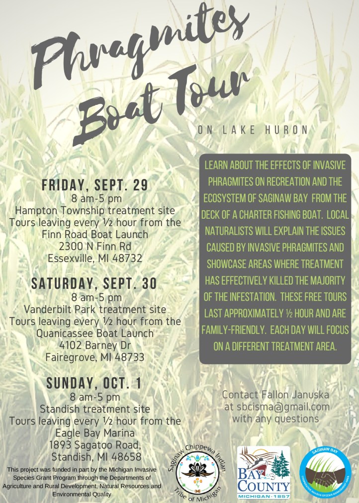 phragmites-boat-tour-saginaw-bay-lake-huron