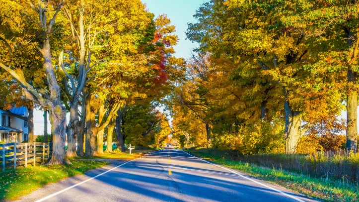 15569719162_14bafaccdd_k