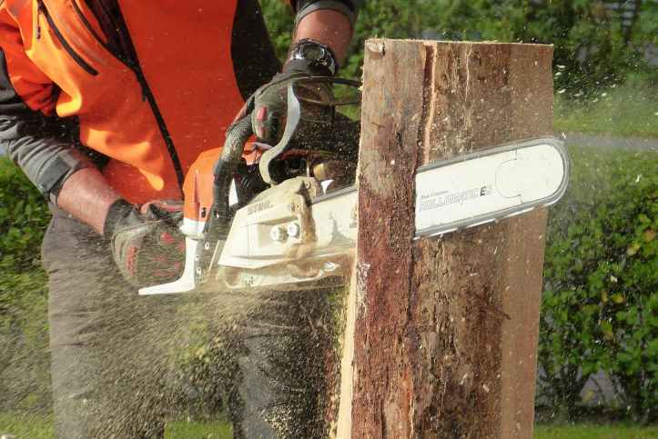man cutting tress using chainsaw