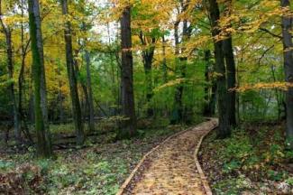 bay county pinconning park fall colors