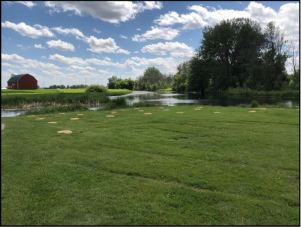 tree planting saginaw bay lamp lake huron report