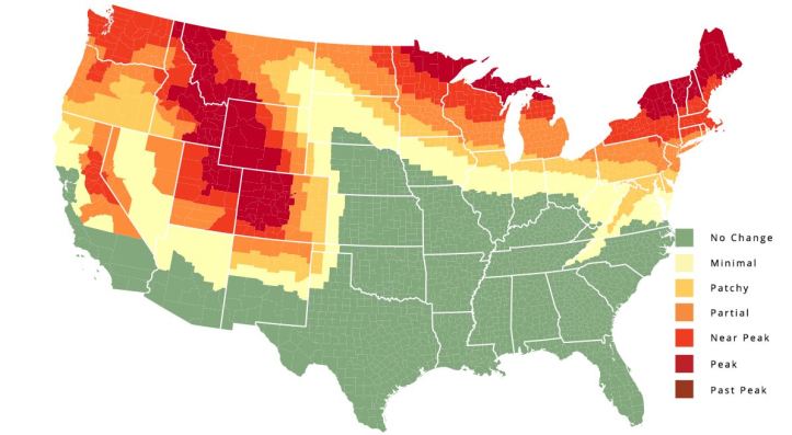 fall colors foliage map